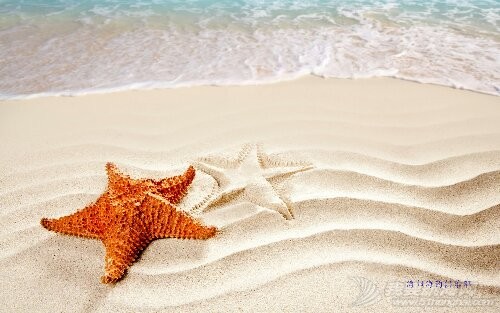 Beach-sand-surf-starfish_2560x1600.jpg