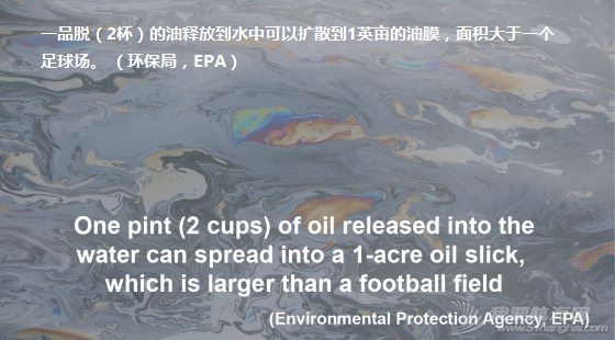 Oil_Spill_Text_Maria Petuelie-Marine Photobank.png