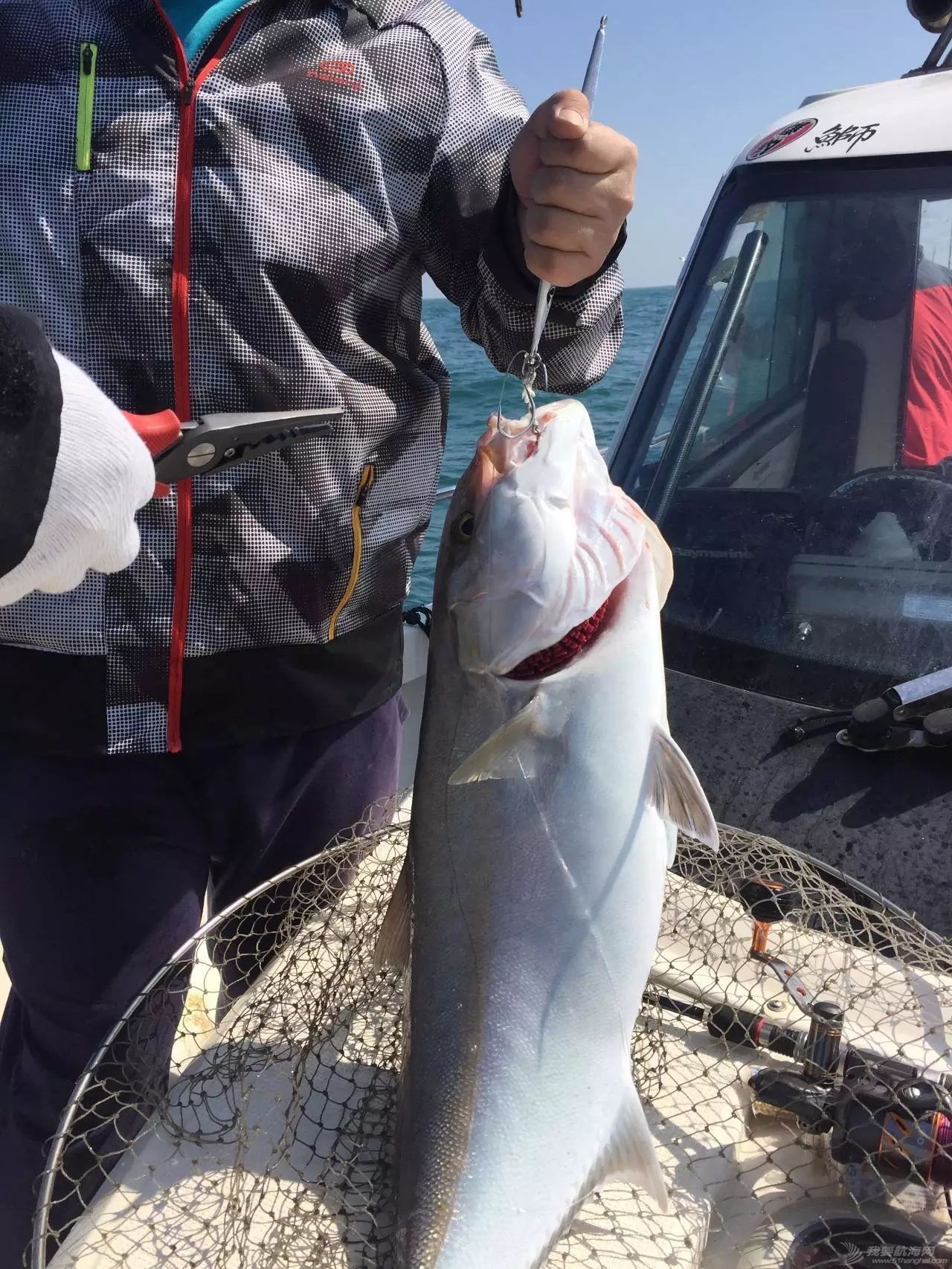 【JIGGING】台湾海峡小爆章红w7.jpg