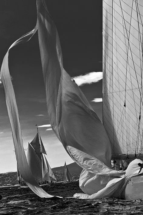 赛领周报 | “焕新计划”第三期招募开启;香港秋季帆船赛揭开序幕;2020年奥克兰游艇展取消;“海洋鸟”号帆船问世w16.jpg