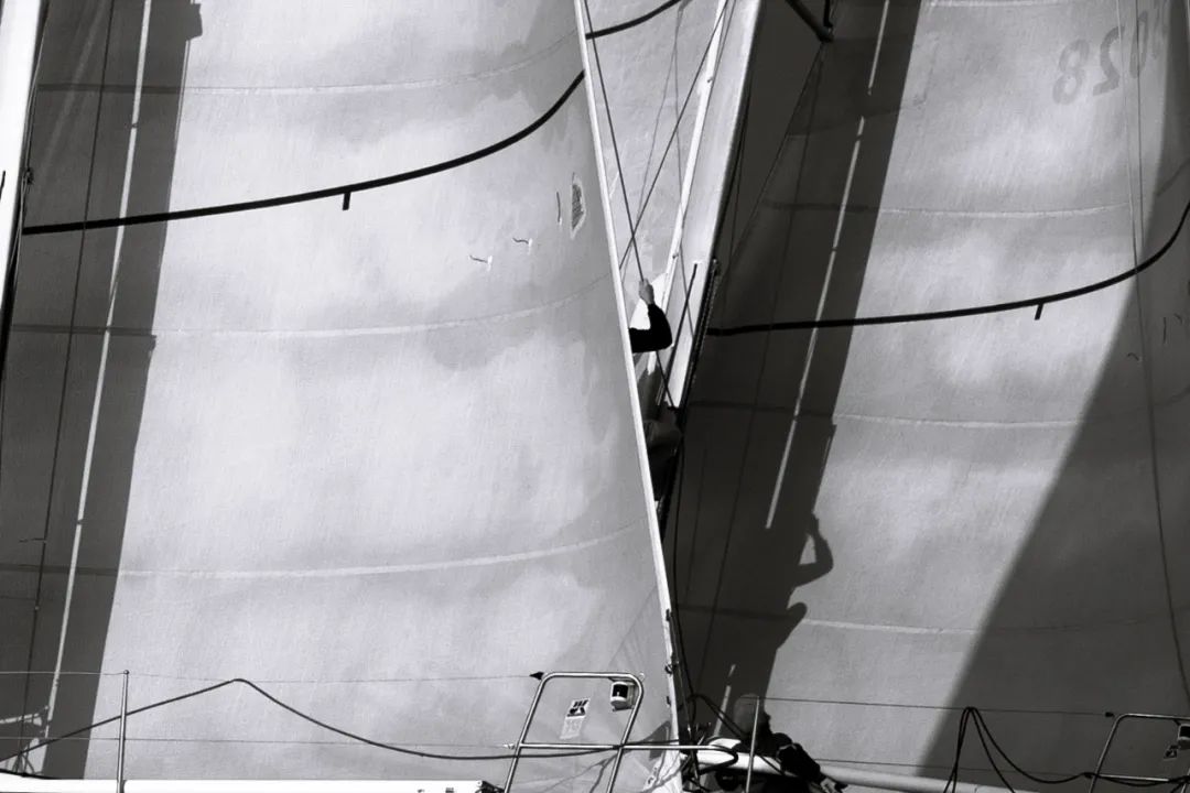 2022美高梅澳门国际帆船赛|精选图集w8.jpg