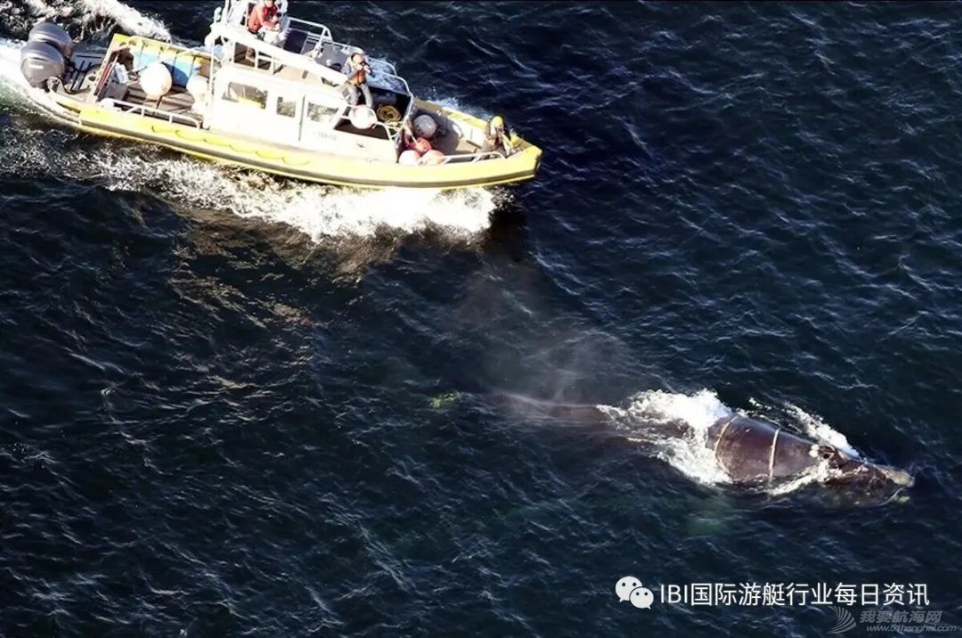 限速事件升级!美国休闲游艇和钓鱼行业集体抵制10节限速提案w3.jpg