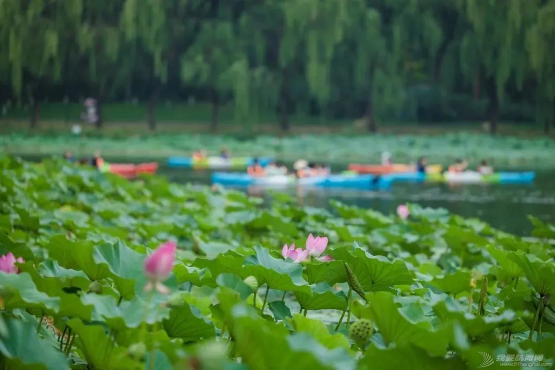 营业公告 | 3月29日起，唯鸥体育五大水上运动基地全部开业，划船啦～w6.jpg