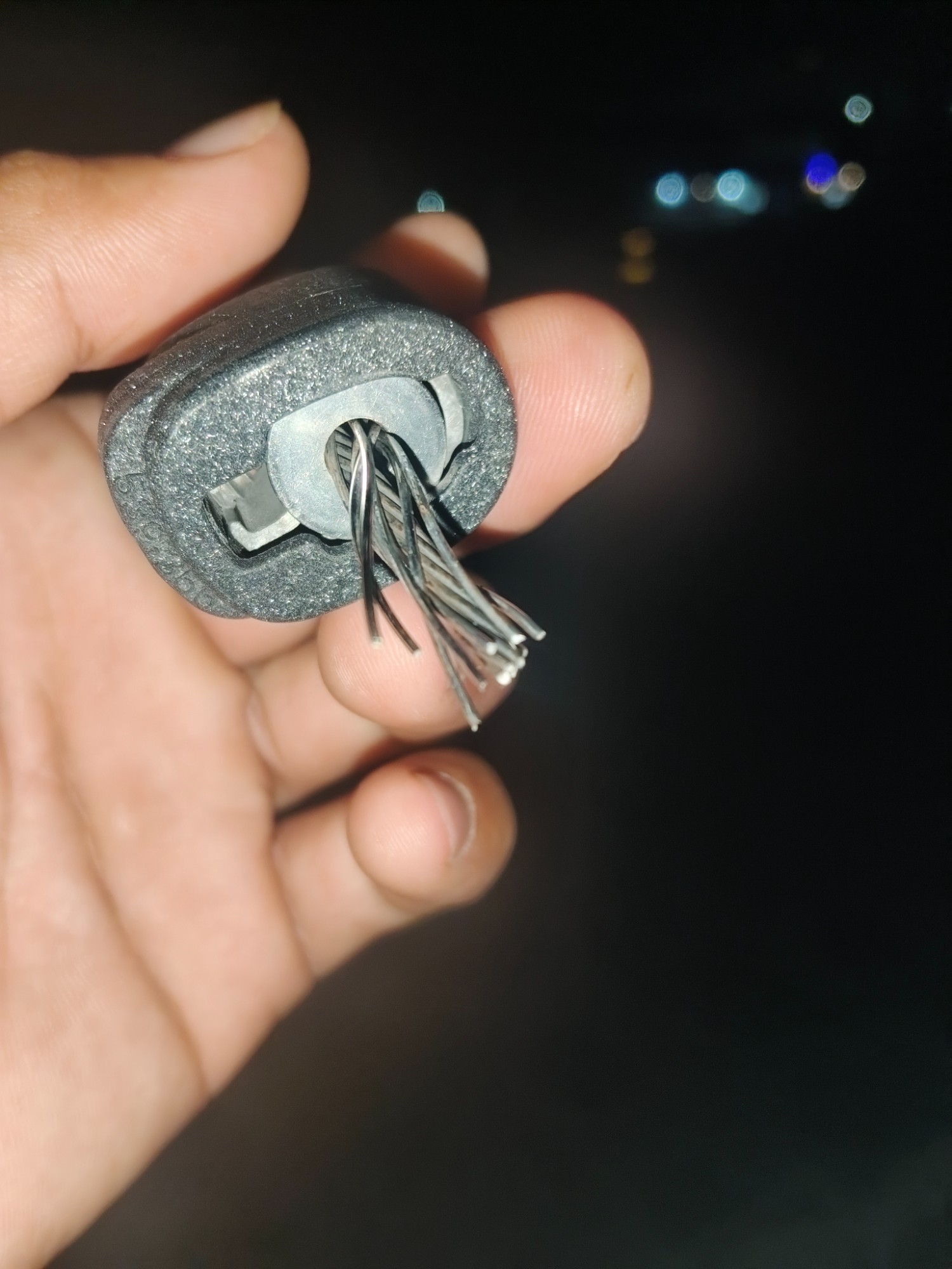 1000005157.jpg