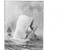 《白鲸》：20名船员在他们的捕鲸船沉没后，为了生存，他们不得不相食同伴......